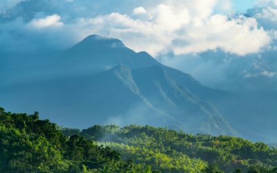 48 Hours in Paradise: A Quick Getaway to Jamaica