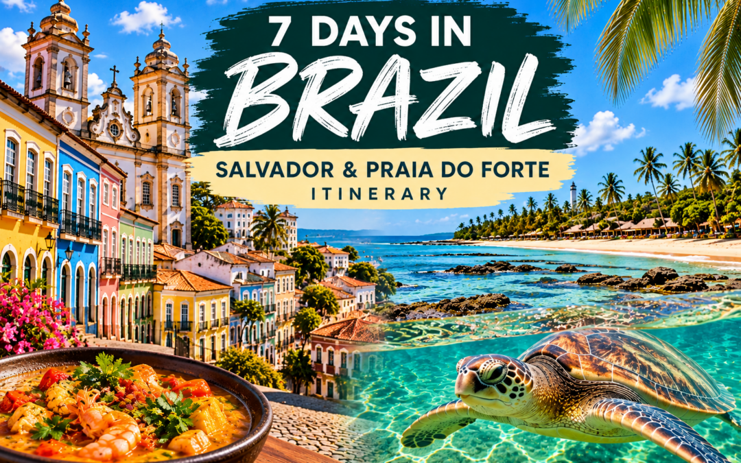 7 Days in Bahia, Brazil: Salvador & Praia do Forte Itinerary