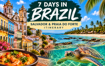7 Days in Bahia, Brazil: Salvador & Praia do Forte Itinerary