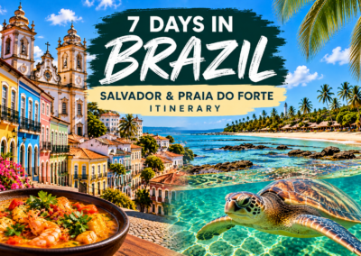 7 Days in Bahia, Brazil: Salvador & Praia do Forte Itinerary